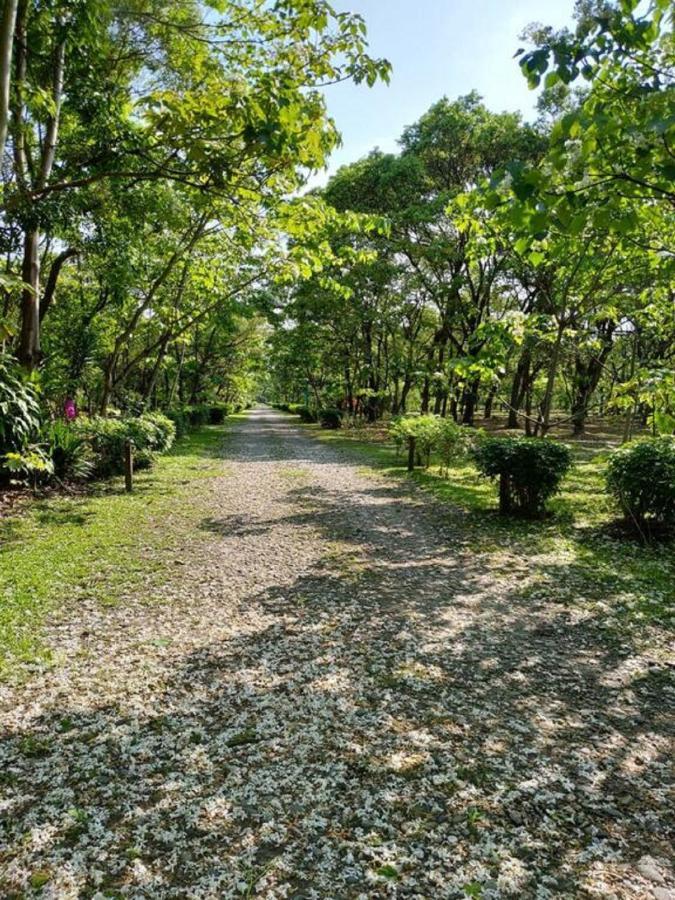 花蓮金澤居民宿樹窩民宿御安居民宿寵物友善 Цзянь Екстер'єр фото
