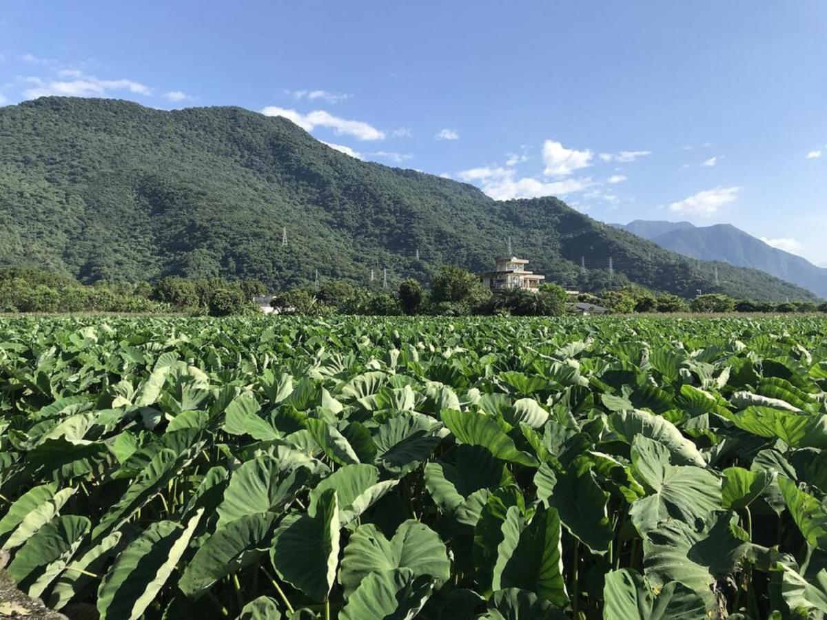 花蓮金澤居民宿樹窩民宿御安居民宿寵物友善 Цзянь Екстер'єр фото